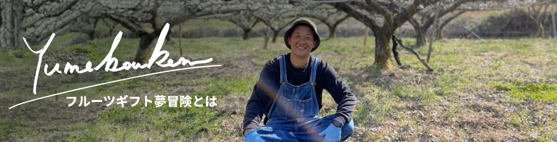 フルーツギフト夢冒険とは